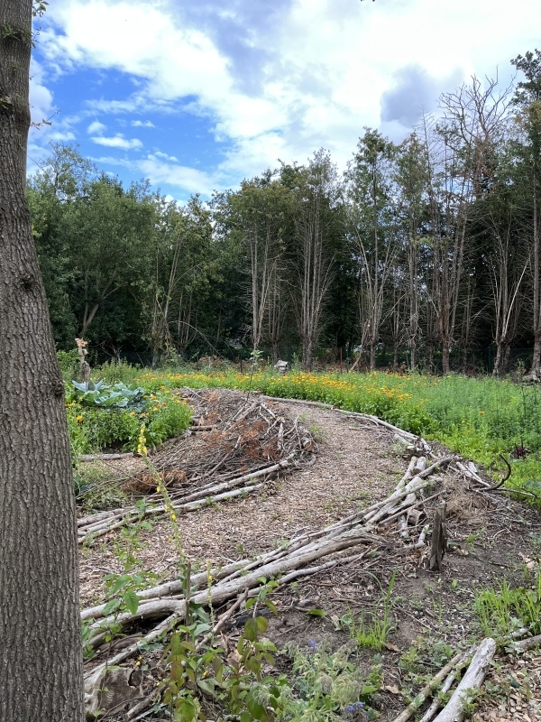 NABU-Waldgarten